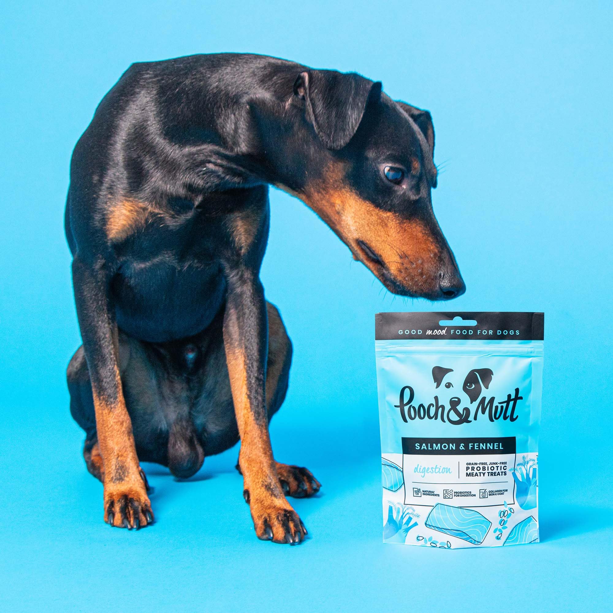 Pooch & Mutt, Health & Digestion Meaty Treats, Dog Treats Grain Free - Image 4