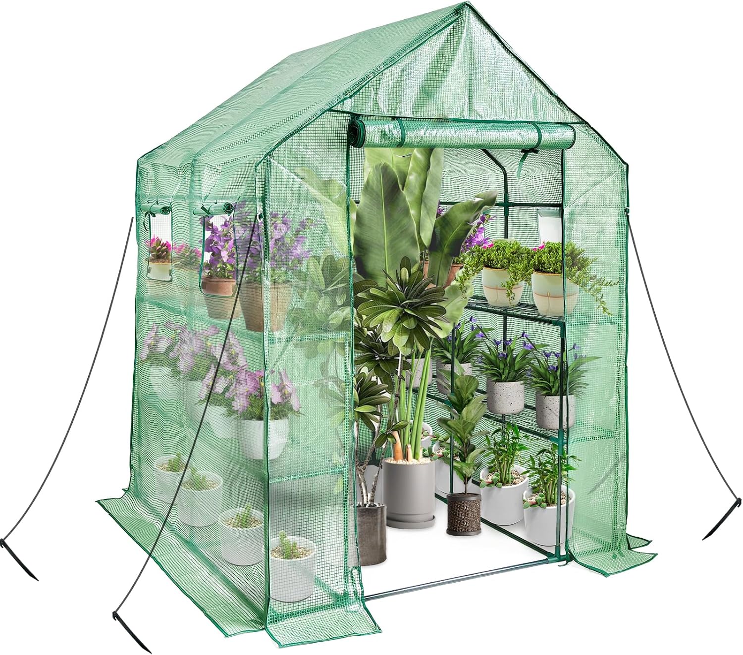 Walk in Greenhouse with Shelves,Plastic Growhouse Frame for Garden,12 Tiers Green House with Reinforced PE Cover and 4 Windows,56" L x 56" W x 77" H,for Indoor Outdoor Seeding and Plant Growing