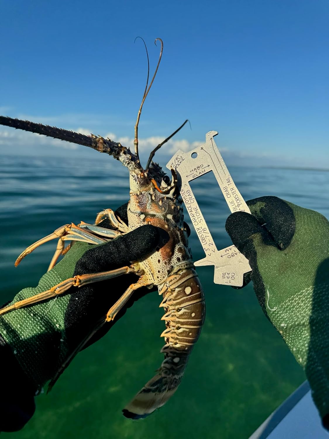Professional Marine Measuring Tool, Stainless Steel Gauge for Lobster, Crab, Oyster, Clam with Gas Cap Opener image 2