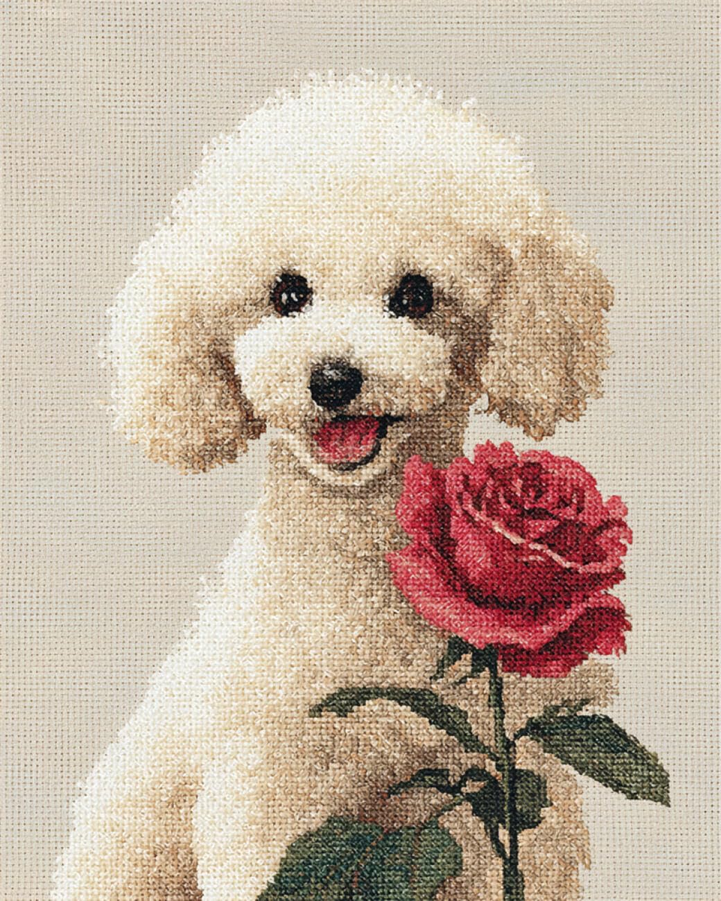 RKFLGEW DIY Embroidery Set Cartoon Poodle 30x40cm