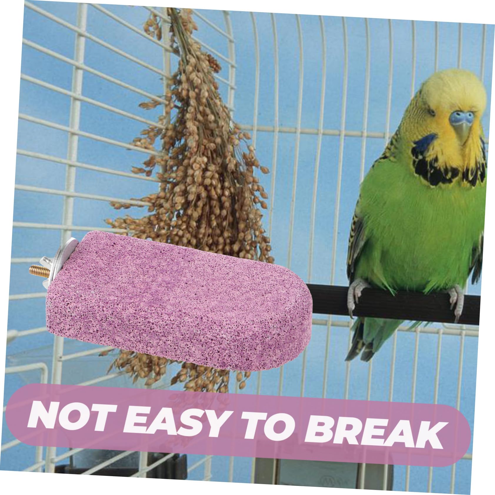VANZACK 5piezas Percha para Aves De Molar para Masticar Estación para Periquitos y Pájaros para Aliviar El Aburrimiento y Ejercicio