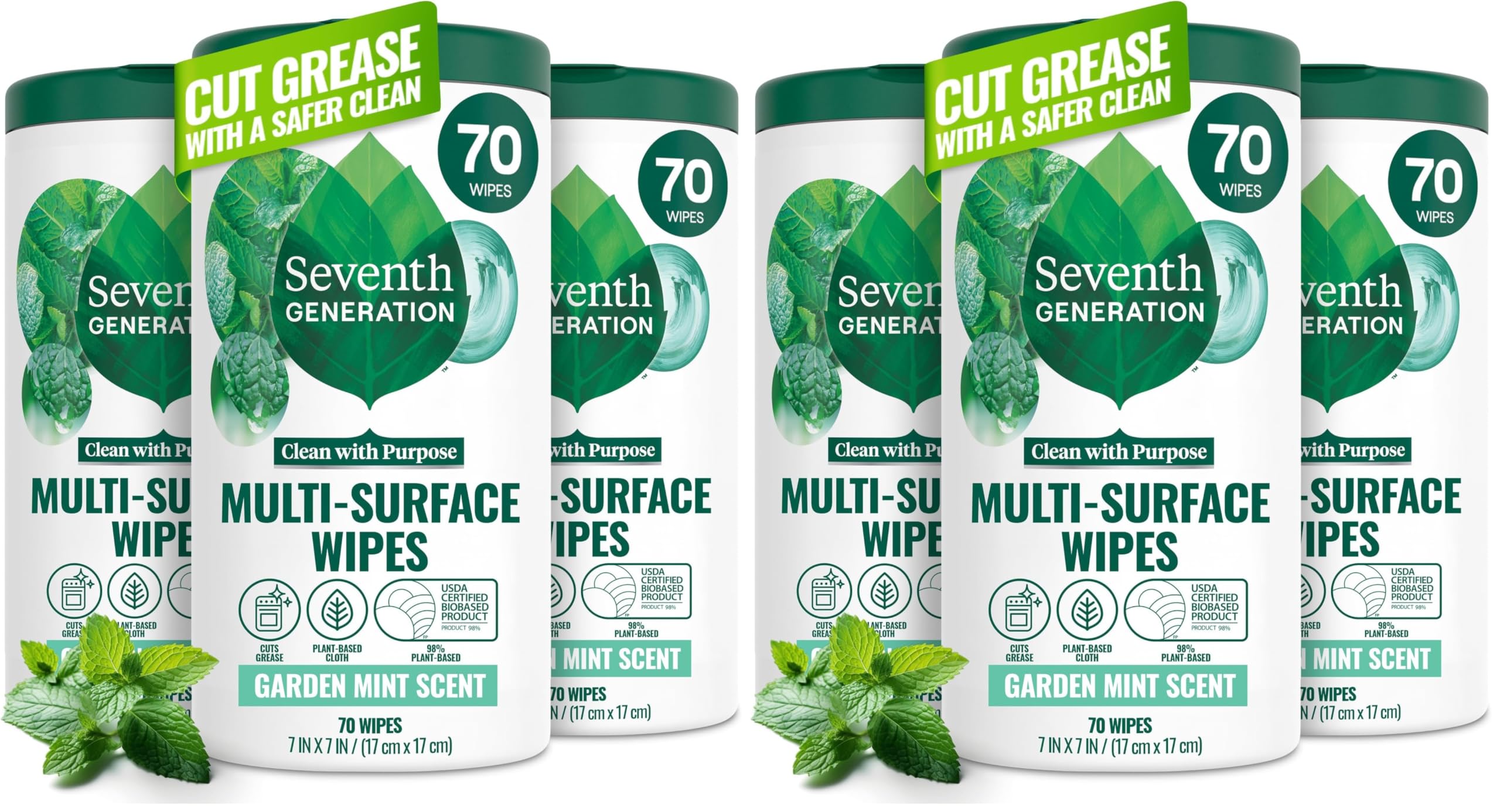 Garden Mint / 70 Count (Pack of 6)