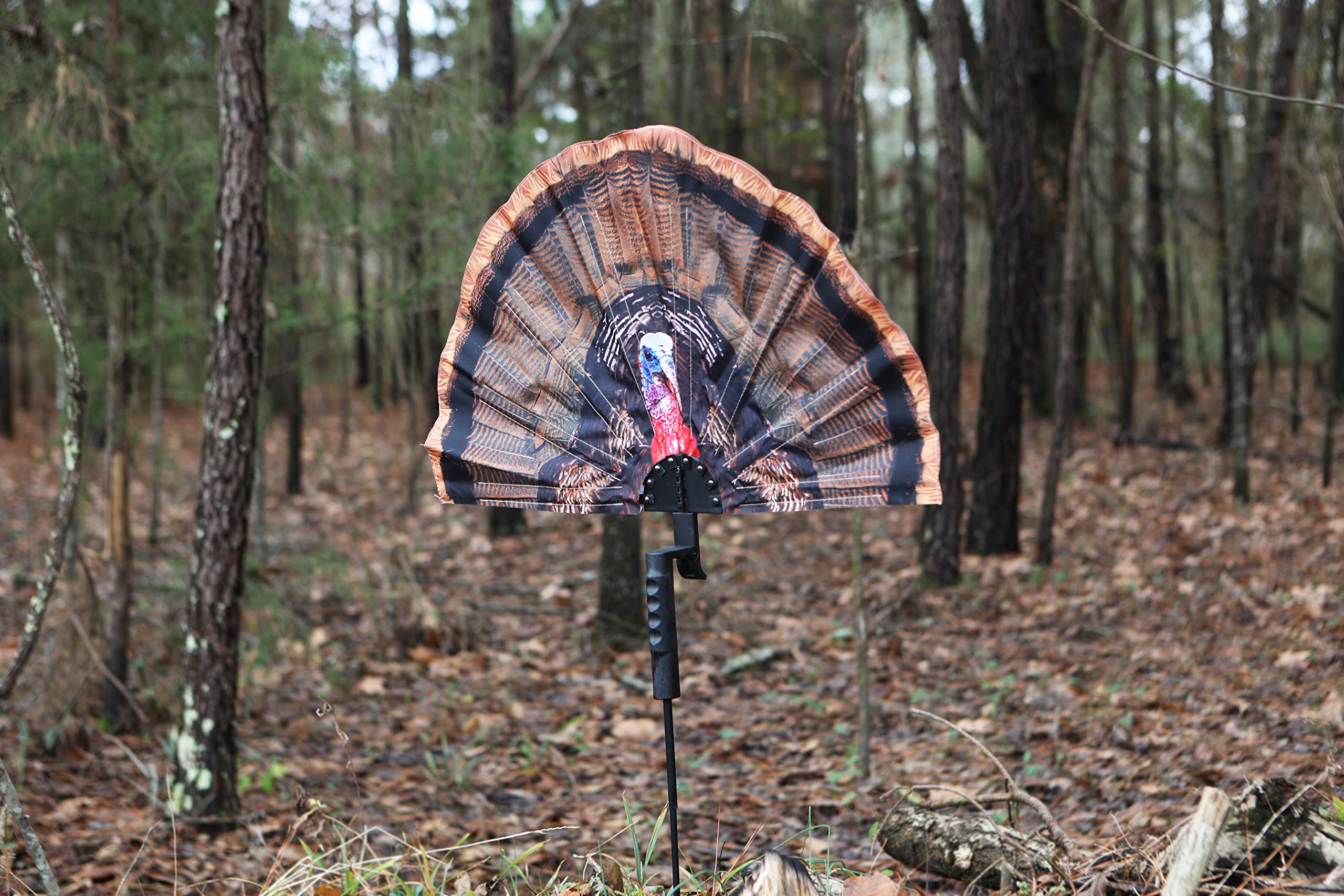 Snapklik.com : MOJO Outdoors Fatal Fan Turkey Decoy - Realistic Fanning ...