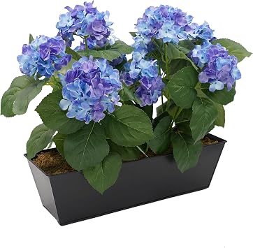 GreenBrokers Artificial Blue Hydrangea Flower Bush in Black Tin Window Box 45cm with Nine Flower Clusters for Home or Outdoor Living