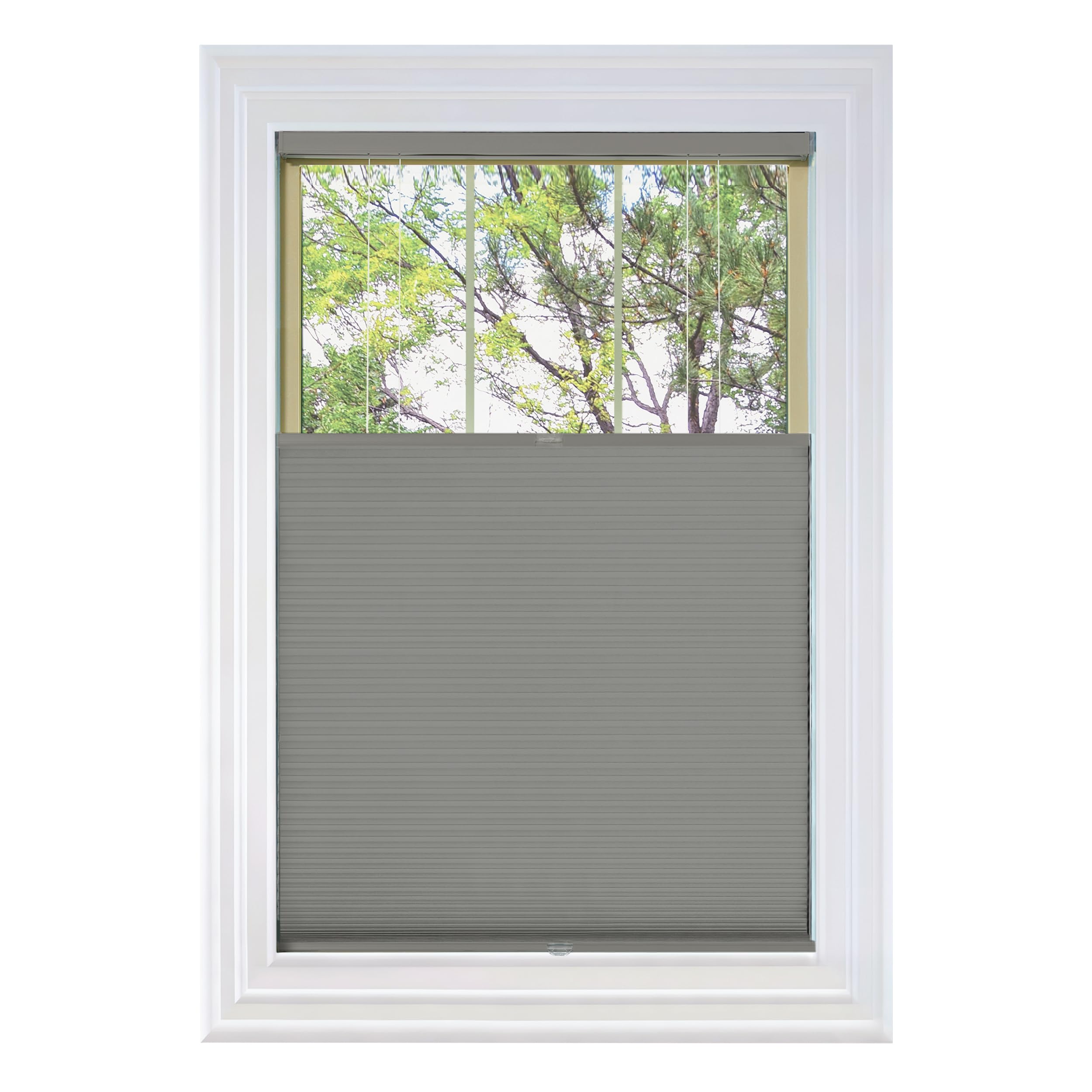 BlindsAvenue Cordless TDBU Cellular Shade