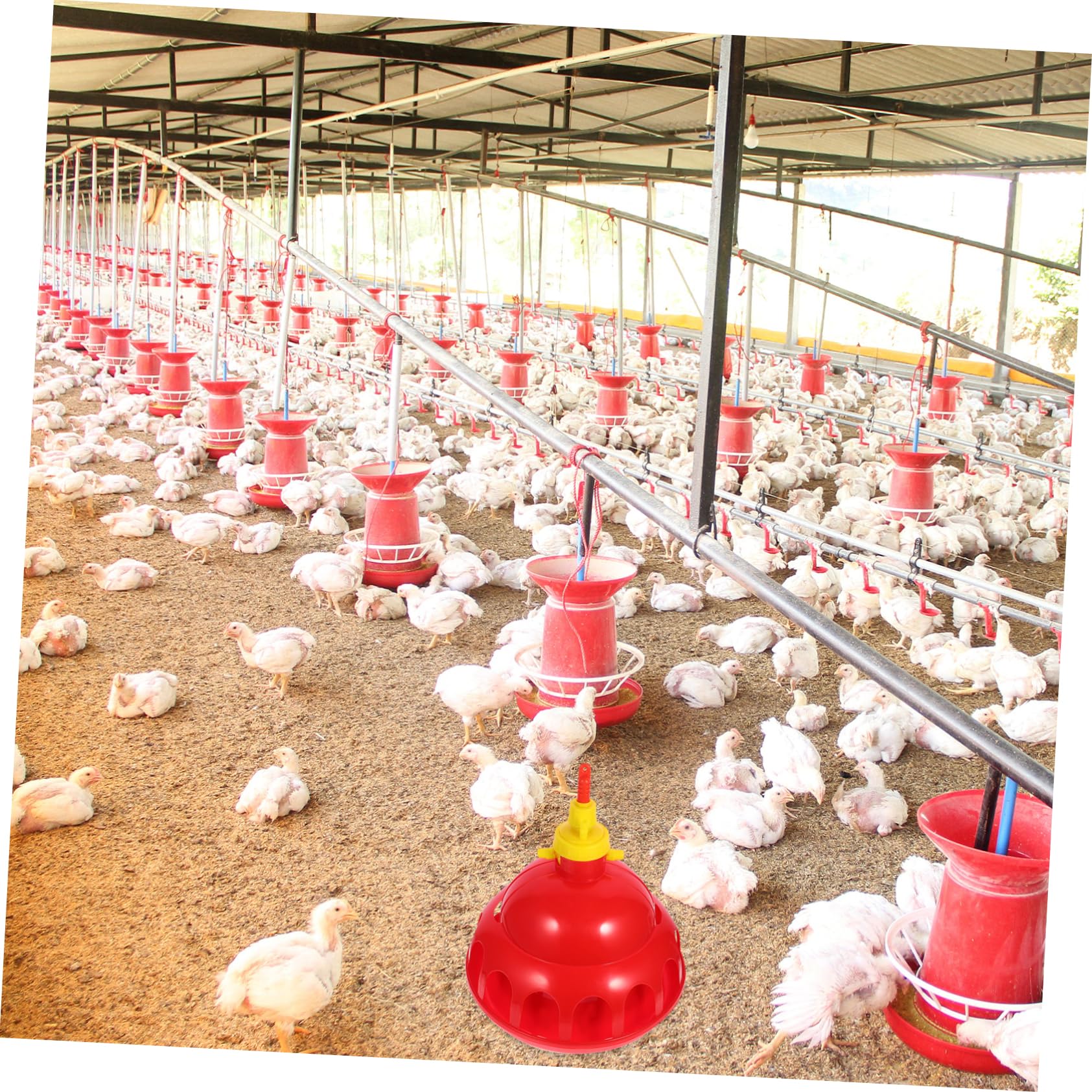 BESPORTBLE Bebedero Automático para Aves Sistema De Bebederos para Pollos Codornices