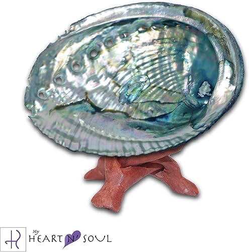 Miniatura 3 de Activate Kit de manchas con salvia, pluma, cáscara de abulón, soporte, sangre de dragón e incienso de dinero, auto encendido – Limpieza de energía,