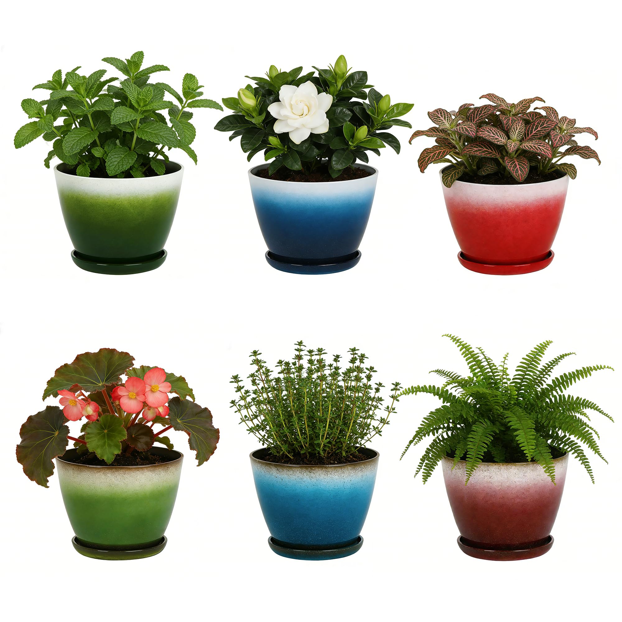 Worth Garden Plastic Round 8" Plant Pots - Set of 6 Multicolor Small Gloss Flower Pot Planters with Drainage Hole and Saucer - Home Decorative Christmas Containers