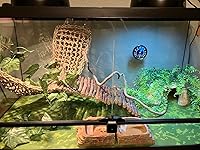 Review Image by E. E. E. E.