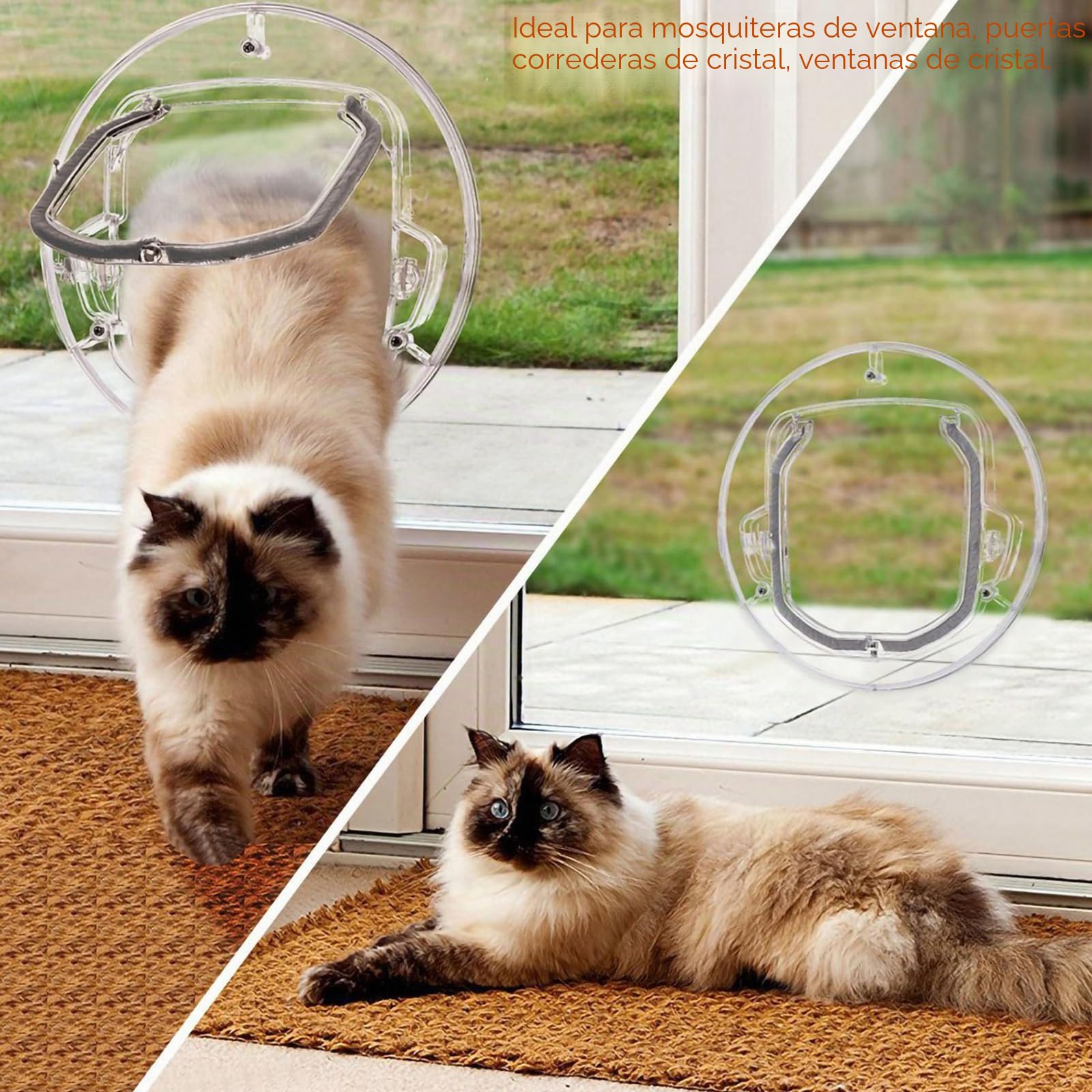 Gatera para gatos de cristal, puerta, cierre de 4 vías, puerta para gatos, transparente, reducción del ruido para gatos y 6 kg para perros de talla pequeña