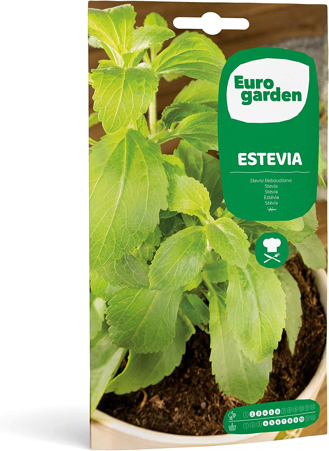 Fito Semillas Stevia Seeds