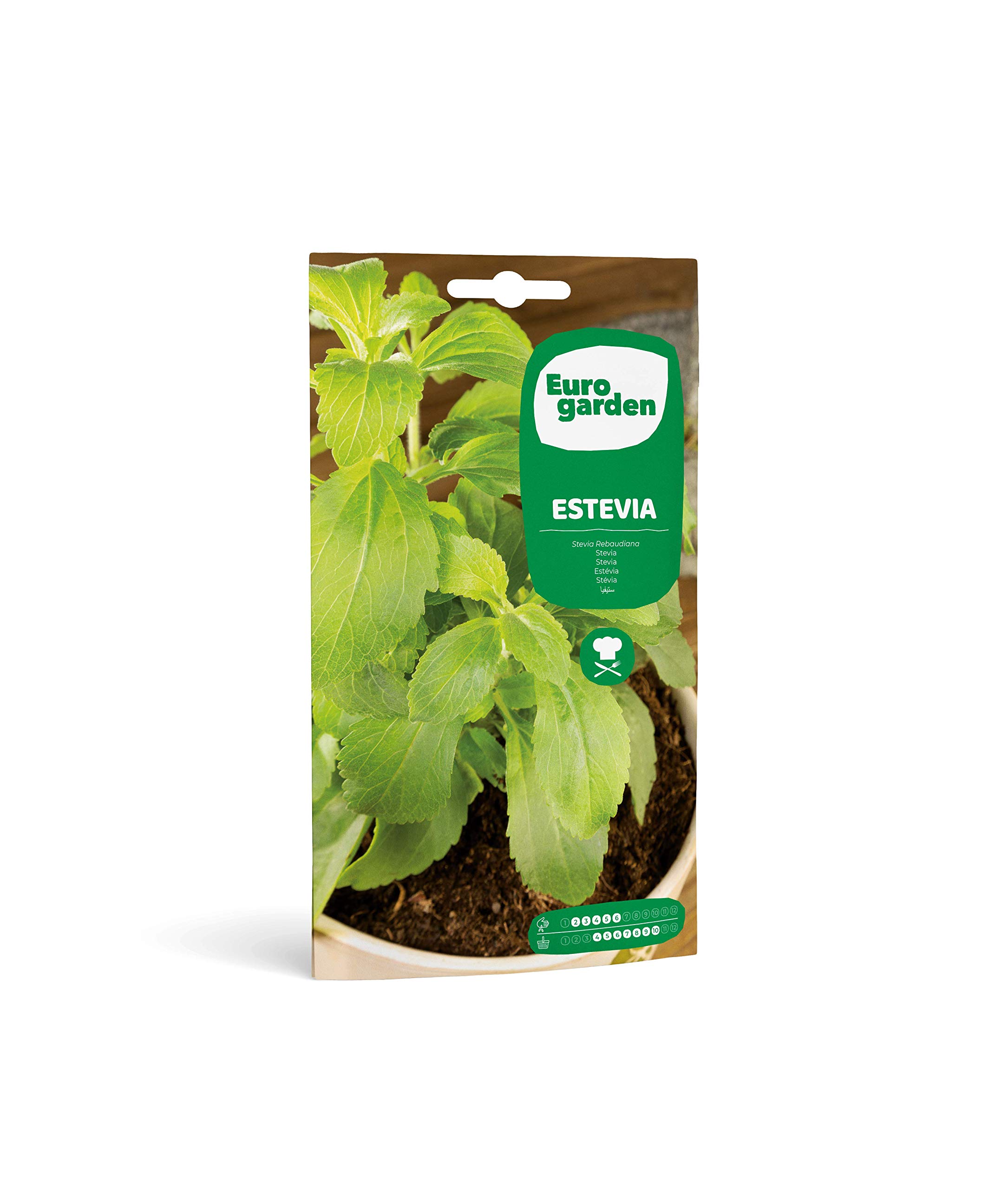 Fito Semillas Stevia Seeds