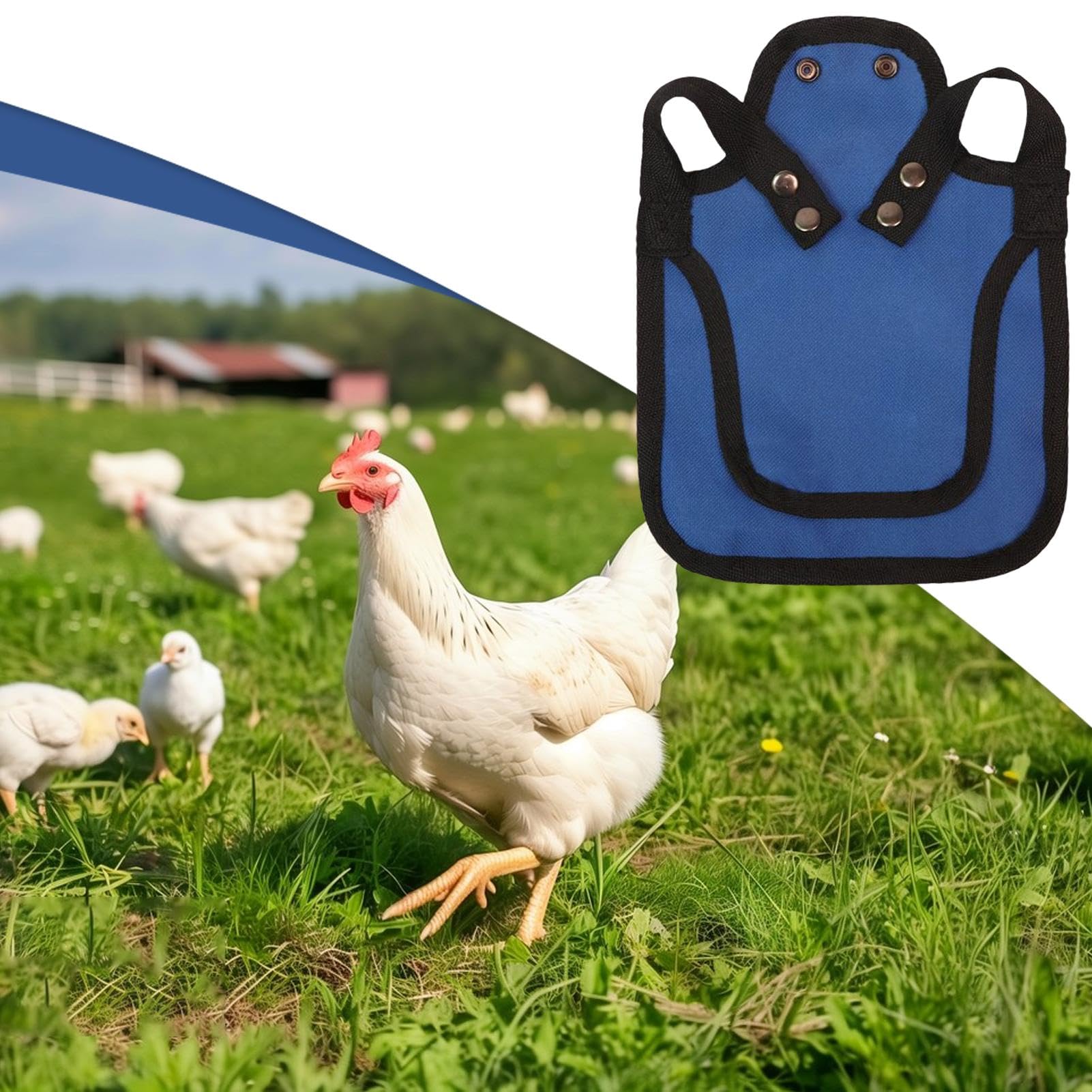 Suéter de silla de montar para gallina - Delantal de protección de aves | Ropa ajustable y cómoda para aves de corral, tela suave y transpirable, escudo antipeck, ropa de seguridad para palomas, galli — view 3