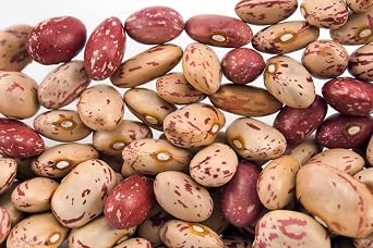Hunza Organic Cranberry Beans (2 lbs)