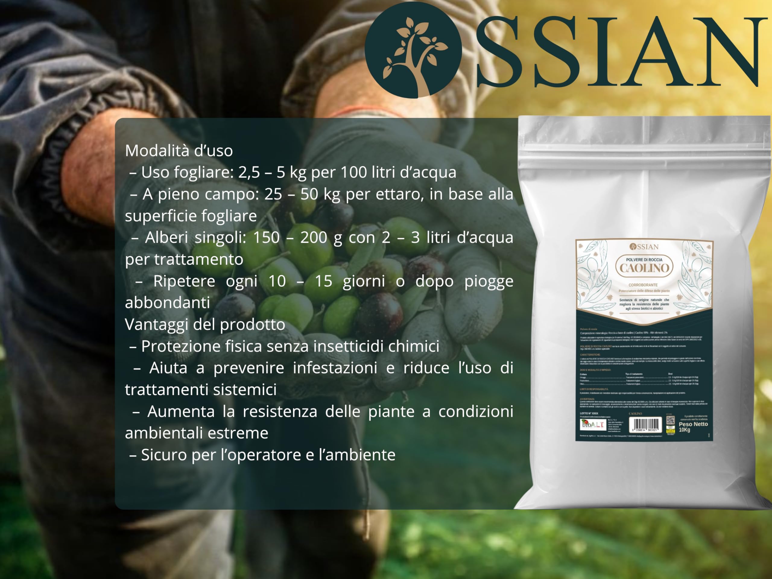Ossian Caolino Micronizzato per Piante 10 KG – Polvere Naturale Biologica – Protezione contro Mosca dell’Olivo, Insetti e Parassiti – Agricoltura Biologica