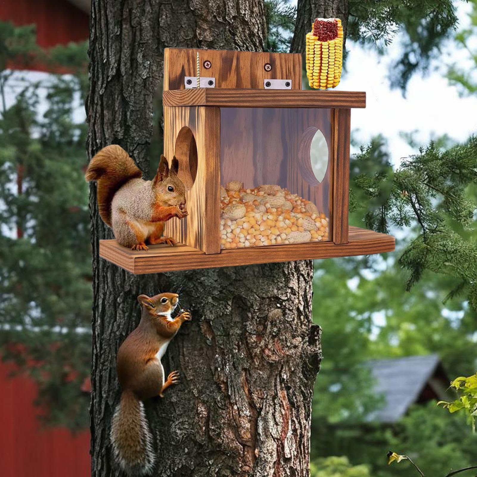 Eichhörnchen-Futterhäuschen für draußen,Eichhörnchen-Futterhaus - Chipmunk-Haus-Box,Streifenhörnchen-Futterstation, Streifenhörnchen-Futterhaus, Gartendekoration für draußen und Garten