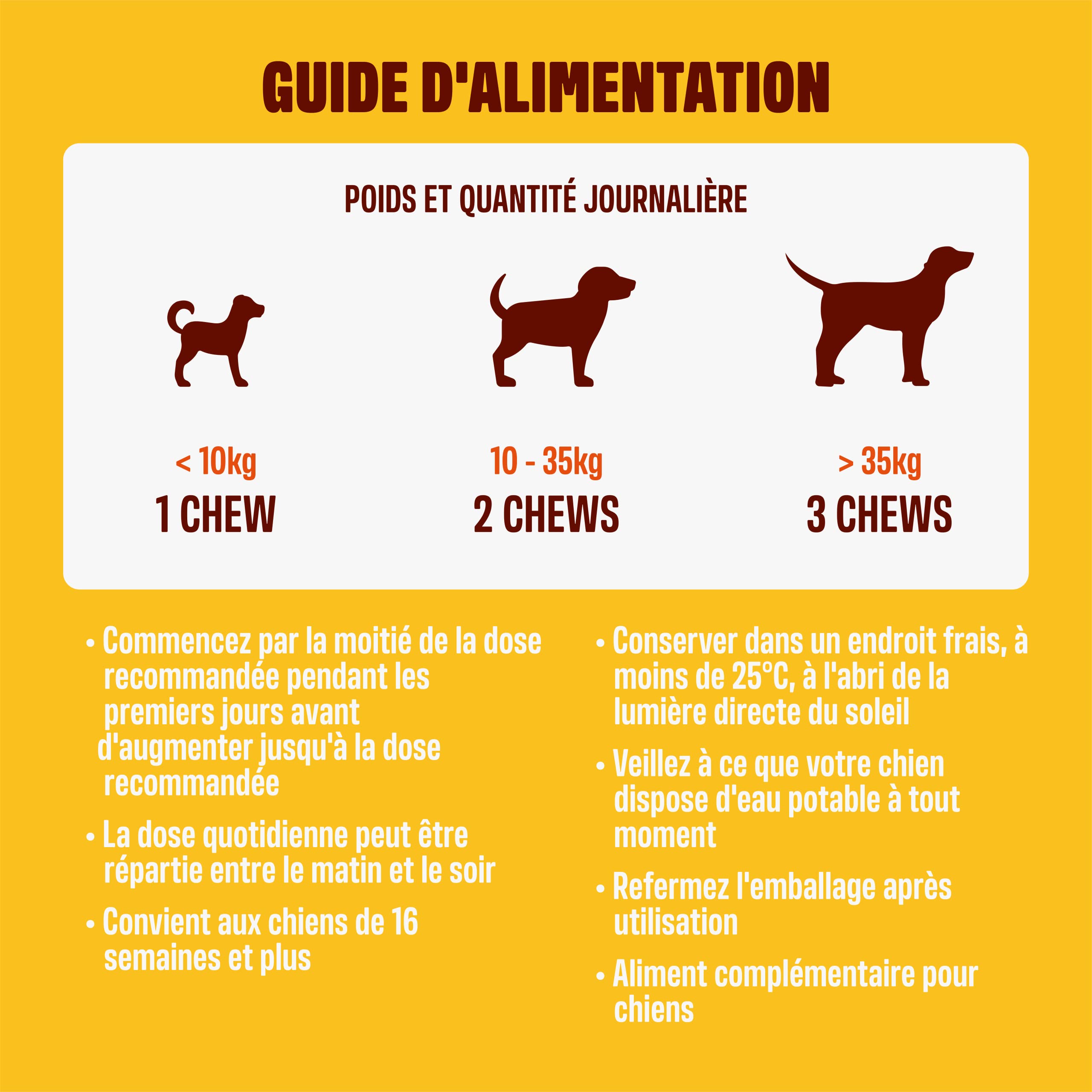 ivvi Skin & Coat Complément Alimentaire pour Chien, Anti-Démangeaisons, Fourrure Douce et Brillante - Oméga 3, Huile de Saumon, DHAgold, Vitamines C, E et Zinc - 60 Friandises au Saumon