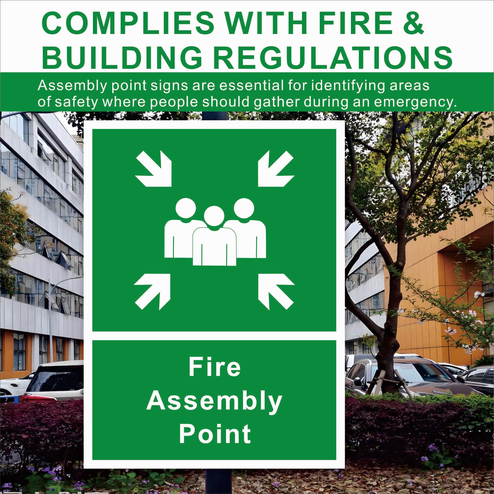 Evoges Schild \"Fire Assembly Point\" – 400 X 300 Mm, PVC, 1 Mm Dick, Grün/weiß, Mit 4 Bohrungen