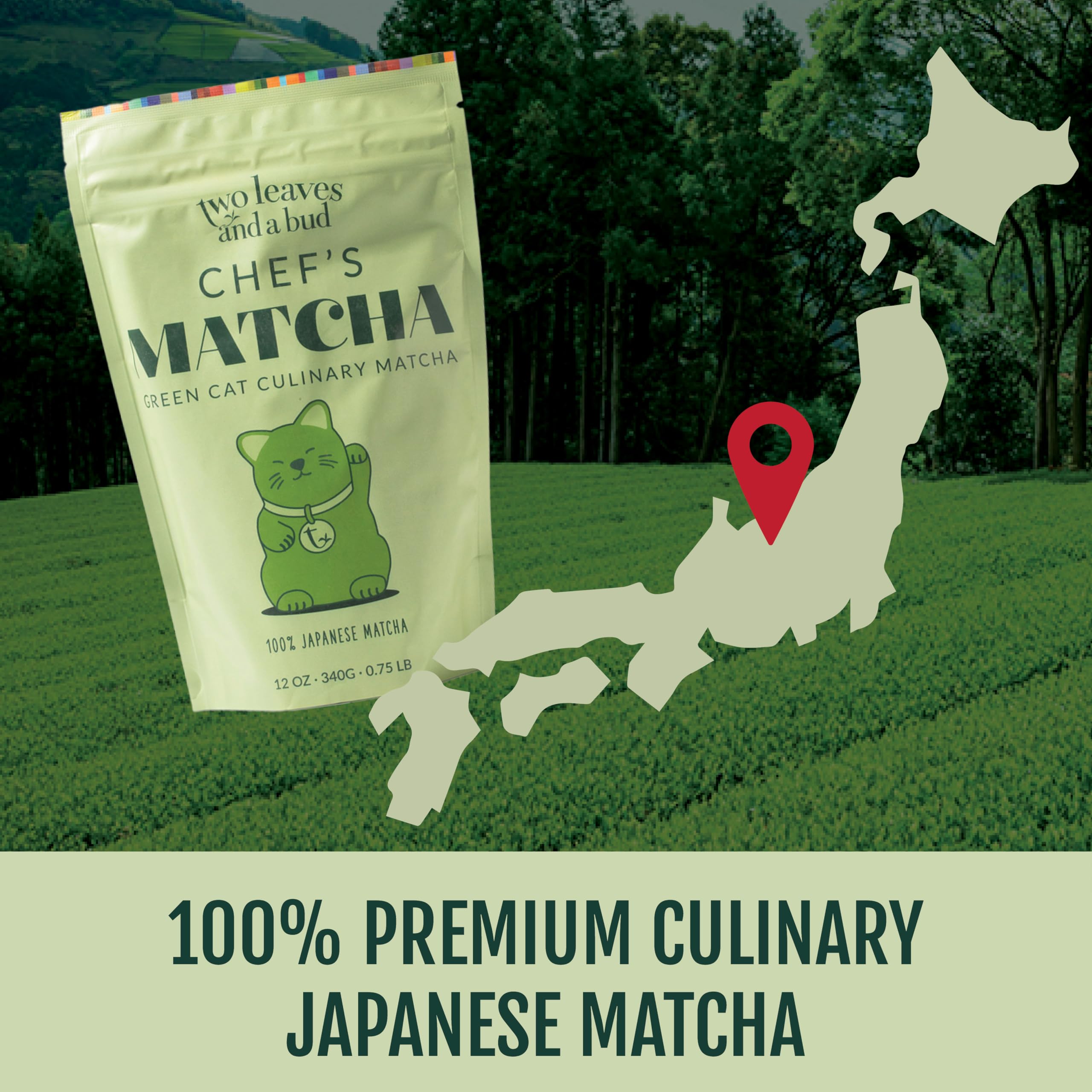 Two Leaves and a Bud Chefs Matcha Green Tea 100 Japanese Culinary Matcha Powder 1 Resealable Bag 340g — view 3