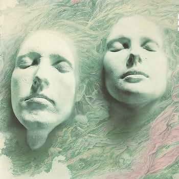 Shelleyan Orphan レコード 2枚 Shelleyan Orphan Helleborine Century Flower 2 Records Art