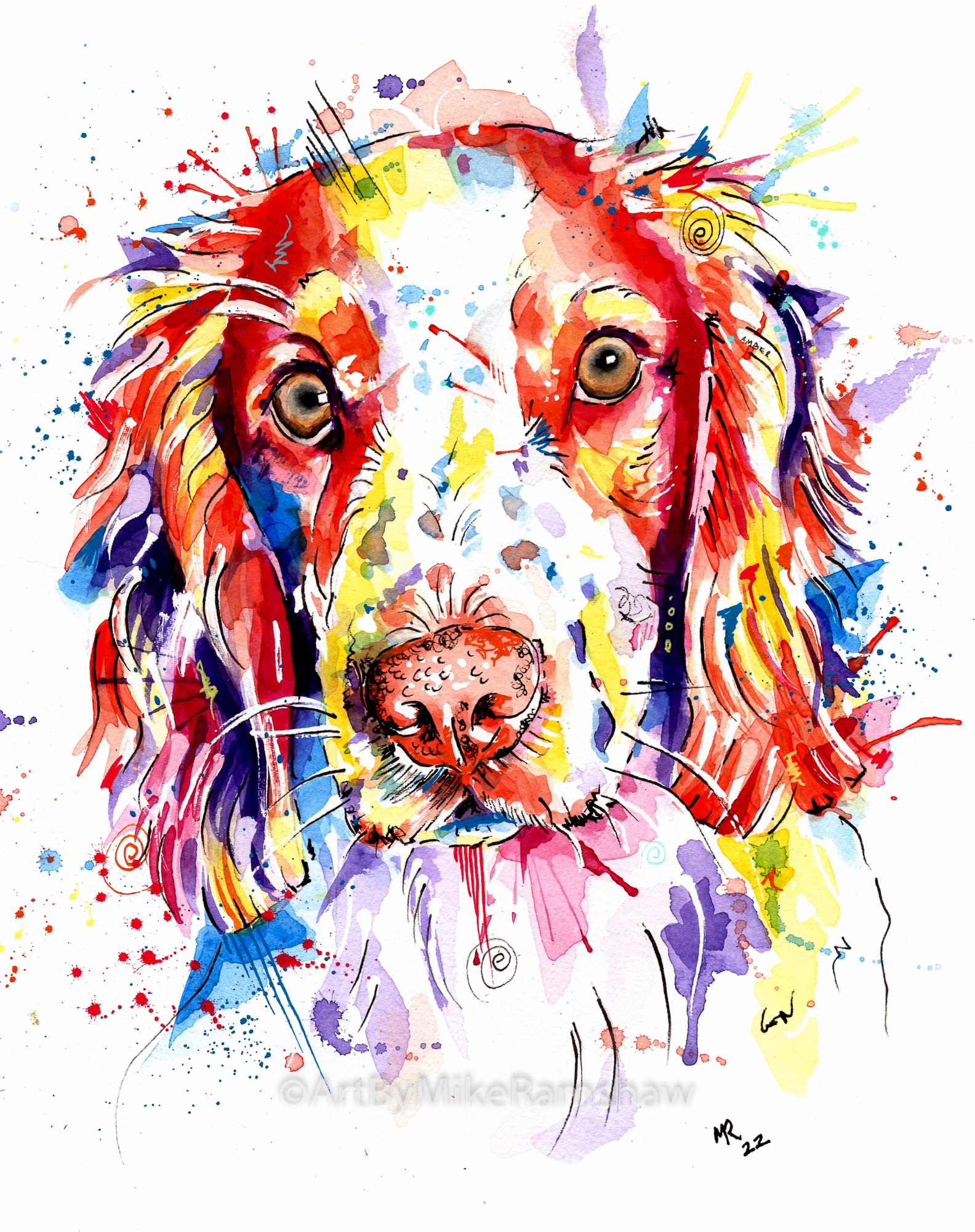 Art By Mike Ramshaw Red, Orange, Yellow, Blue Springer Spaniel Cocker Print Painting Art Watercolour, Dog Artwork, Wall Art Gifts - Mounting Options