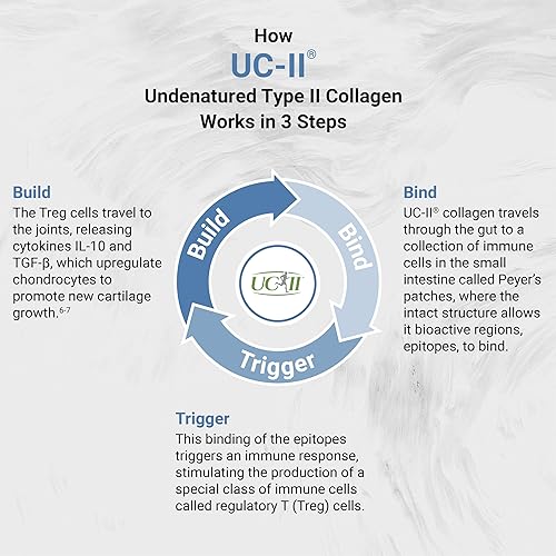 Miniatura 6 de Naturalis UC-II 40 mg con ácido hialurónico y aceite de nuez de karité  Colágeno mejorado sin desnaturalizar tipo II para una mejor salud de las