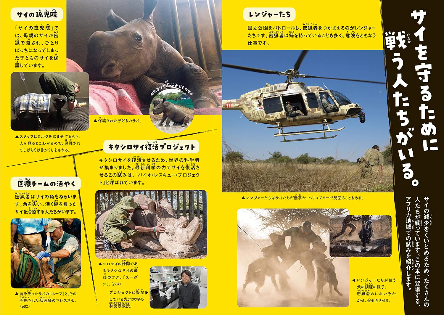 この世界からサイがいなくなってしまう アフリカでサイを守る人たち 環境ノンフィクション 味田村太郎 本 通販 Amazon