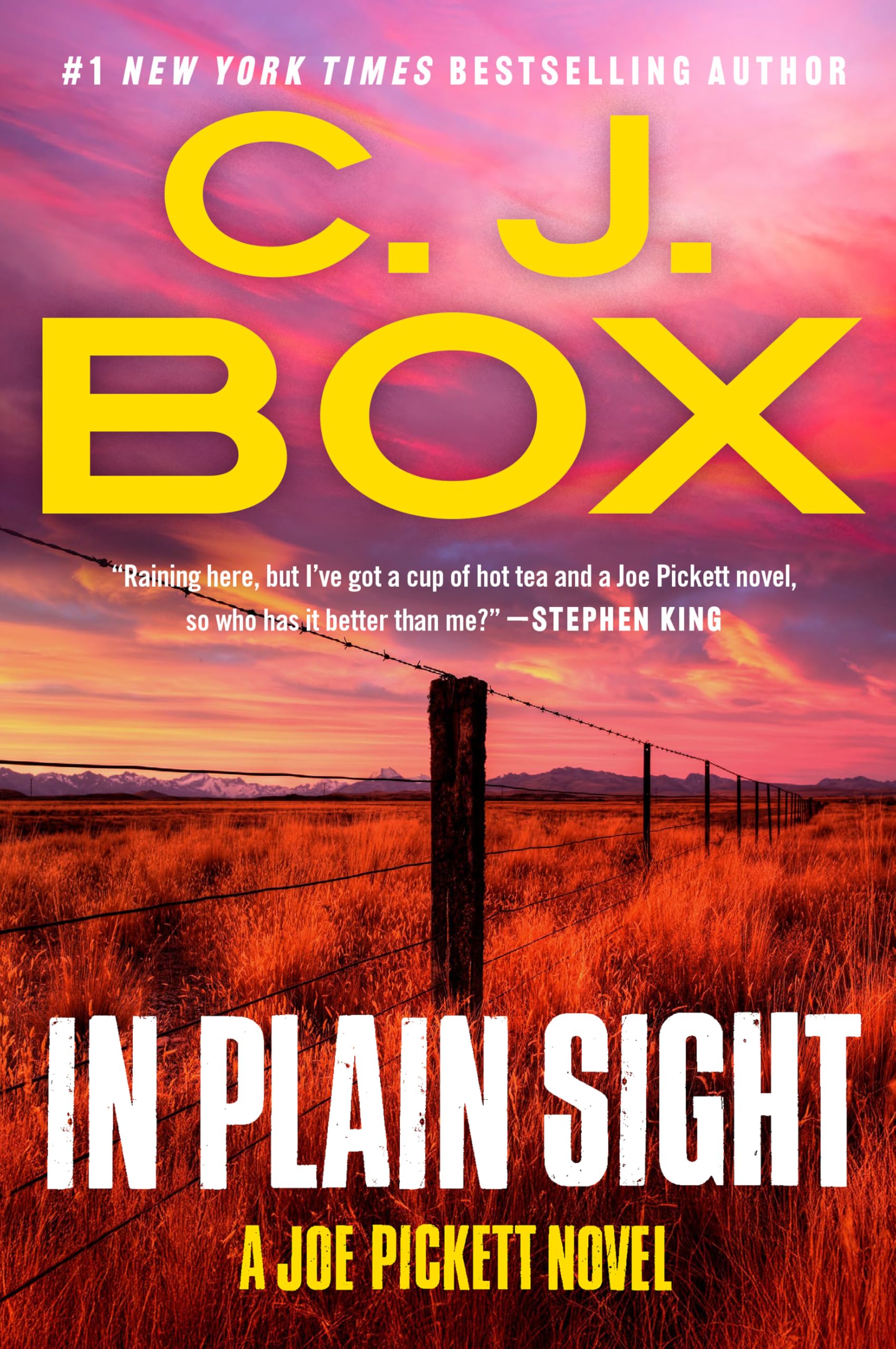 In Plain Sight (A Joe Pickett Novel Book 6)