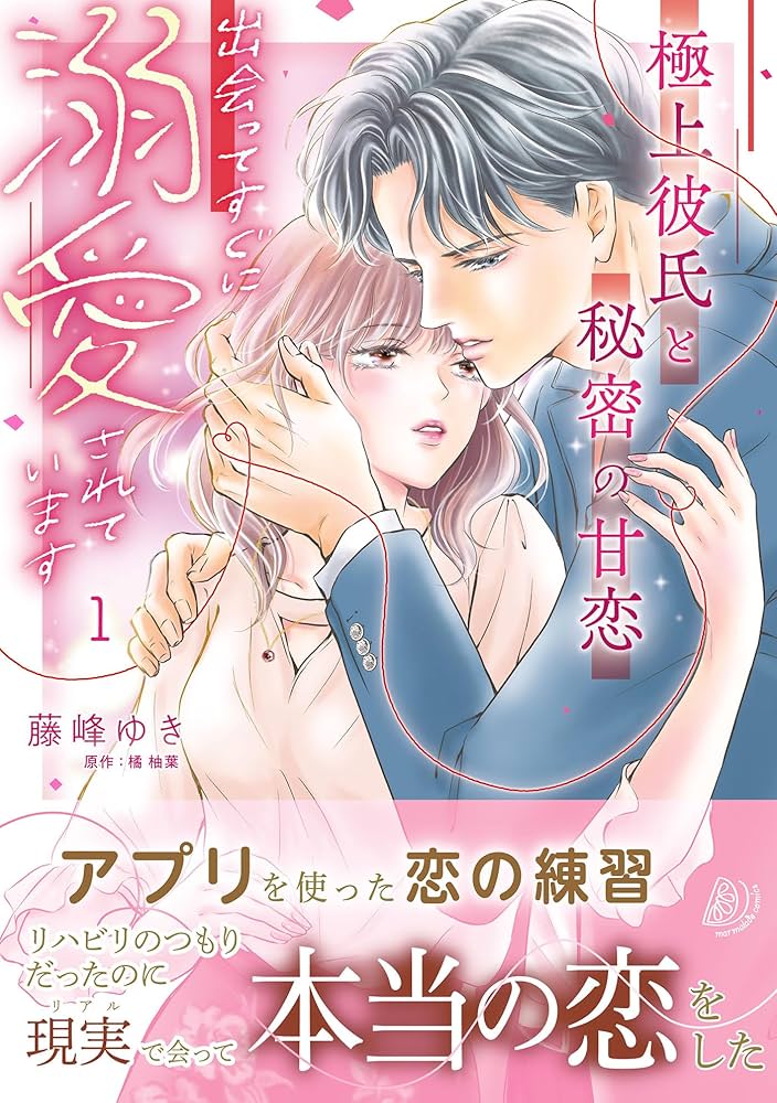 極上彼氏と秘密の甘恋～出会ってすぐに溺愛されています～ 1 極上彼氏と秘密の甘恋～出会ってすぐに溺愛されています～ 1