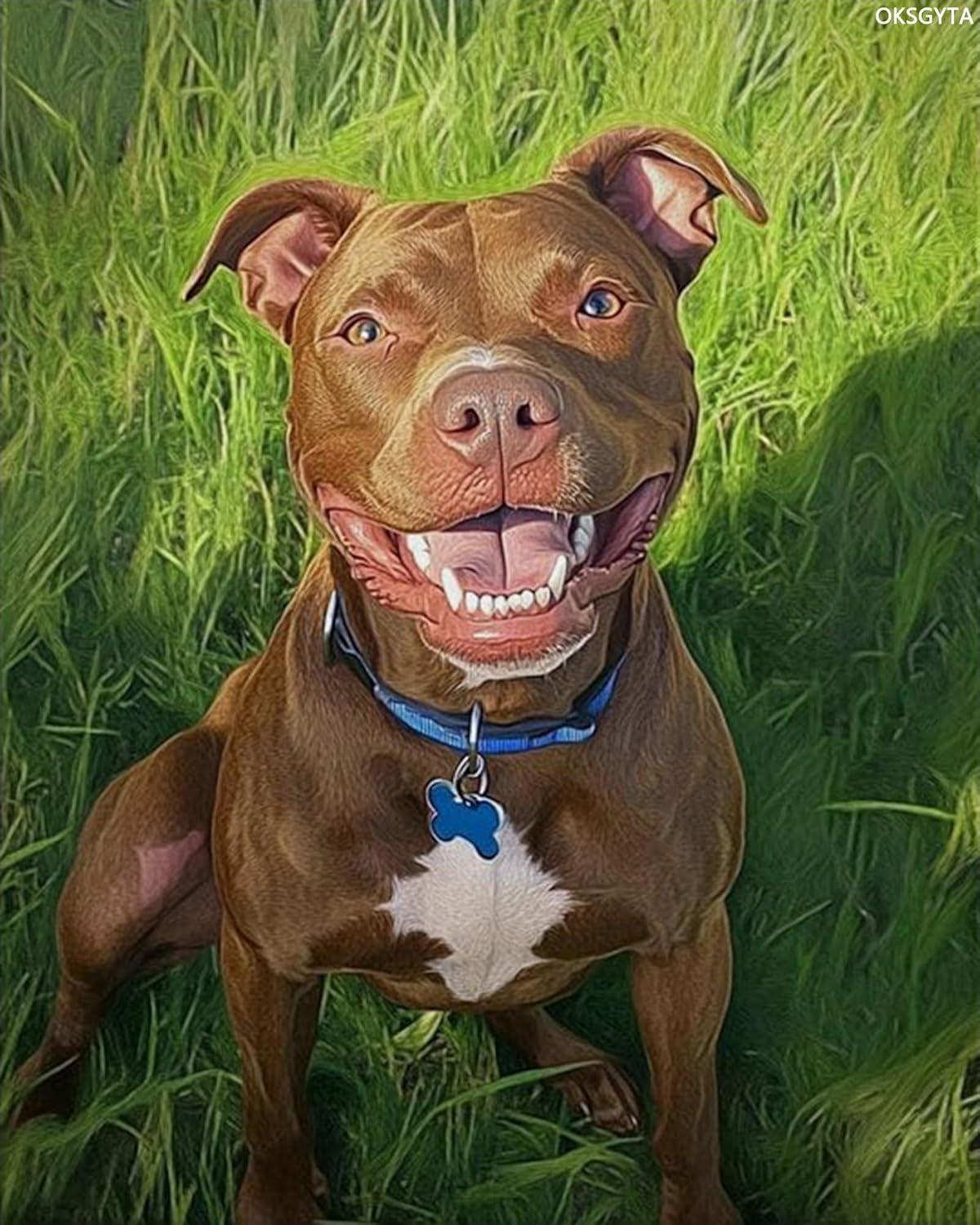 OKSGYTA Pitbull Dog Paint by Bumbers for Adults DIY Paint by Numbers Acrylic Paint Canvas Grass Meadow Painting Kits Art 16" W x 20" L Without Frame