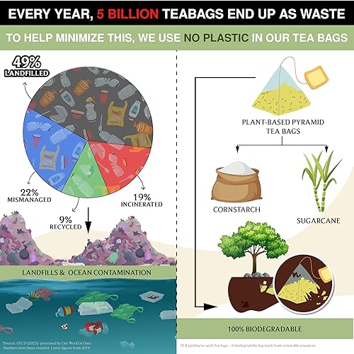 Vista 206 de BREWIX Bolsas de té de albahaca sagrada (15 bolsas de té piramidales) Camiseta con hojas de tulsi y manzanilla Sin cafeína, té de hierbas