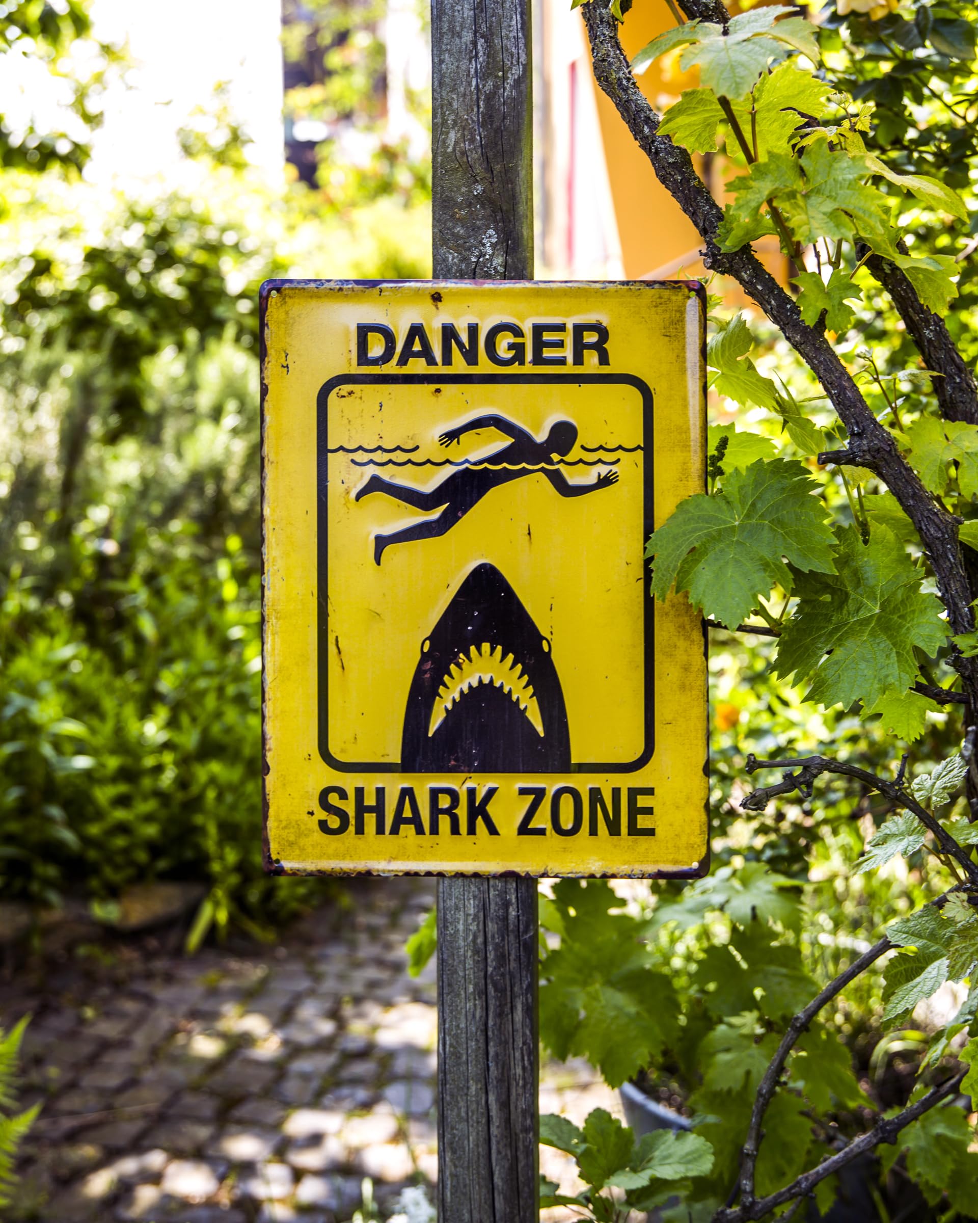 Großes 40 x 30 cm Hinweis Pool Schild Blechschild lustiger Spruch: Vorsicht Hai - Schwimmen auf eigene Gefahr