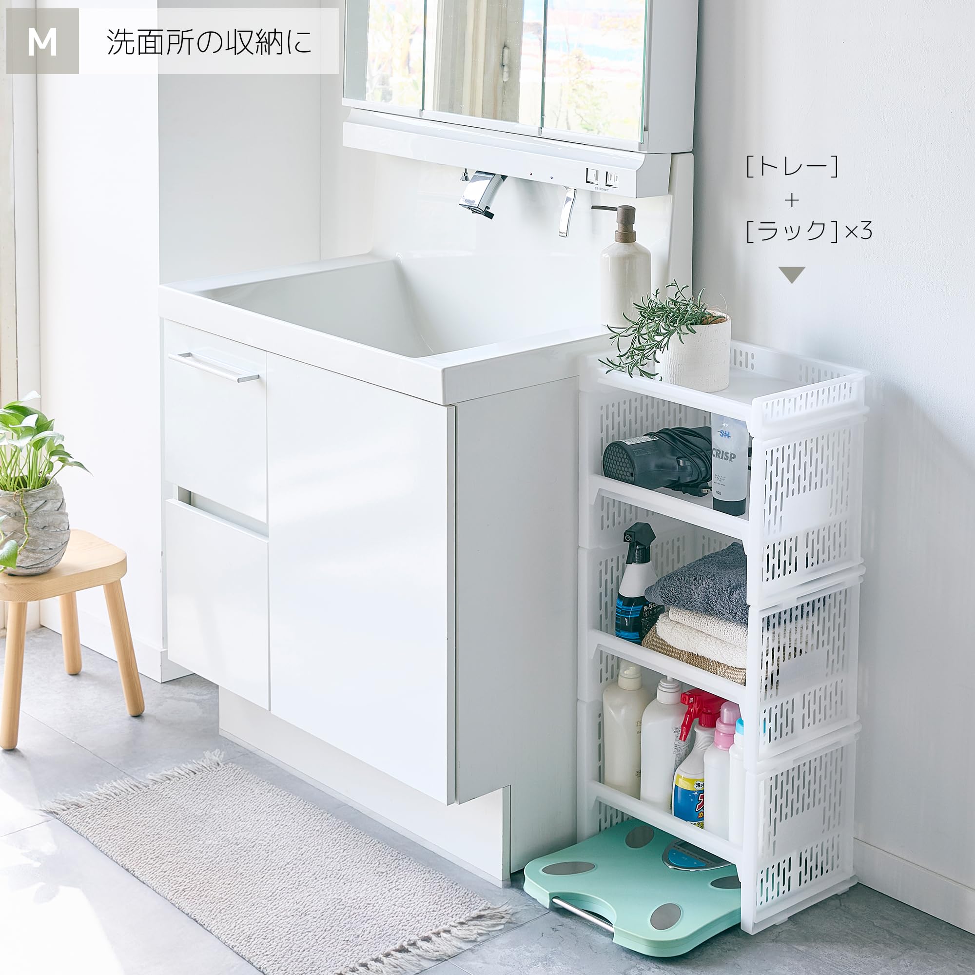 Amazon.co.jp: サンコープラスチック(SankoPlastic) 収納 eラック
