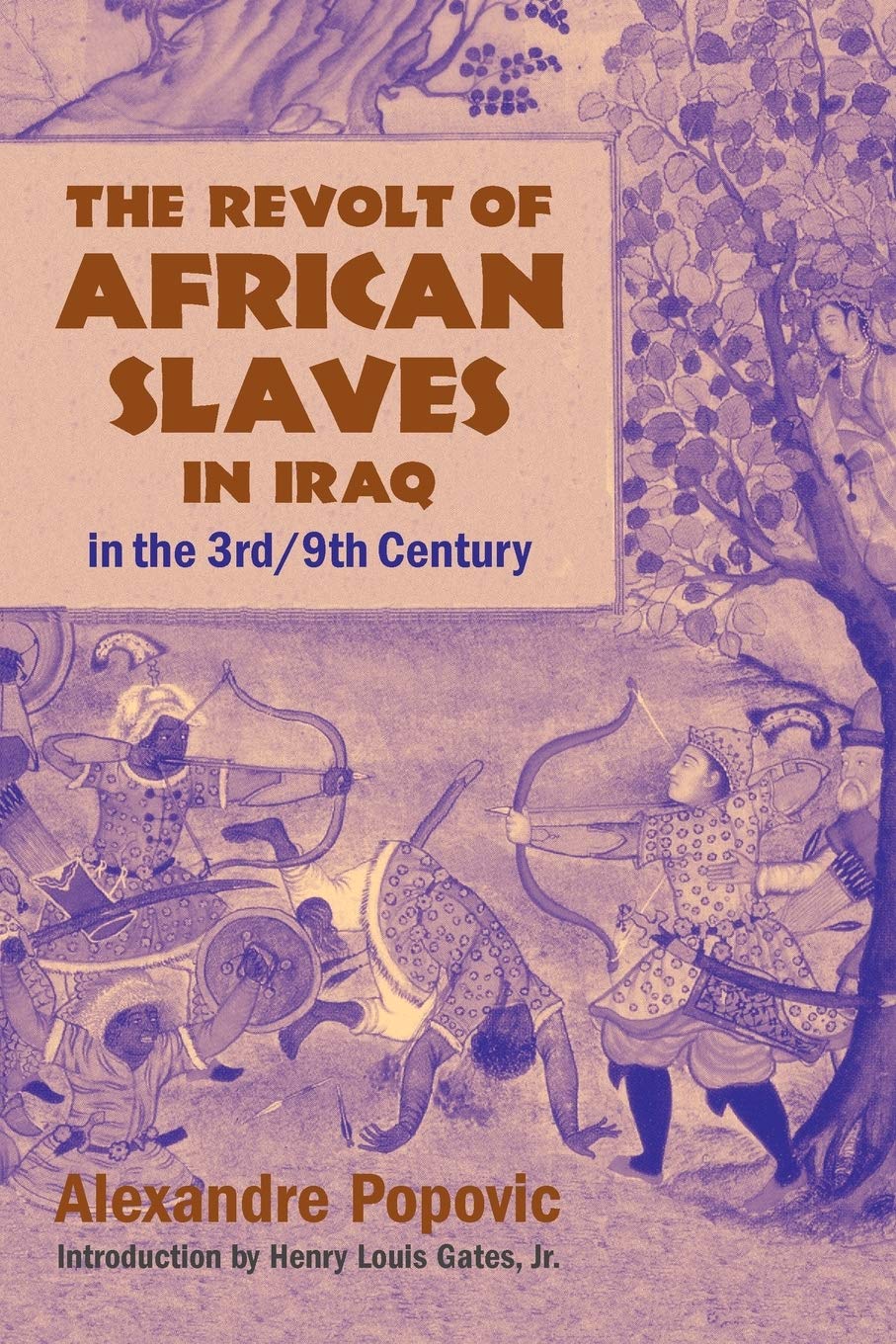 The Revolt of African Slaves in Iraq in the III-IX Century (Princeton Series on the Middle East)
