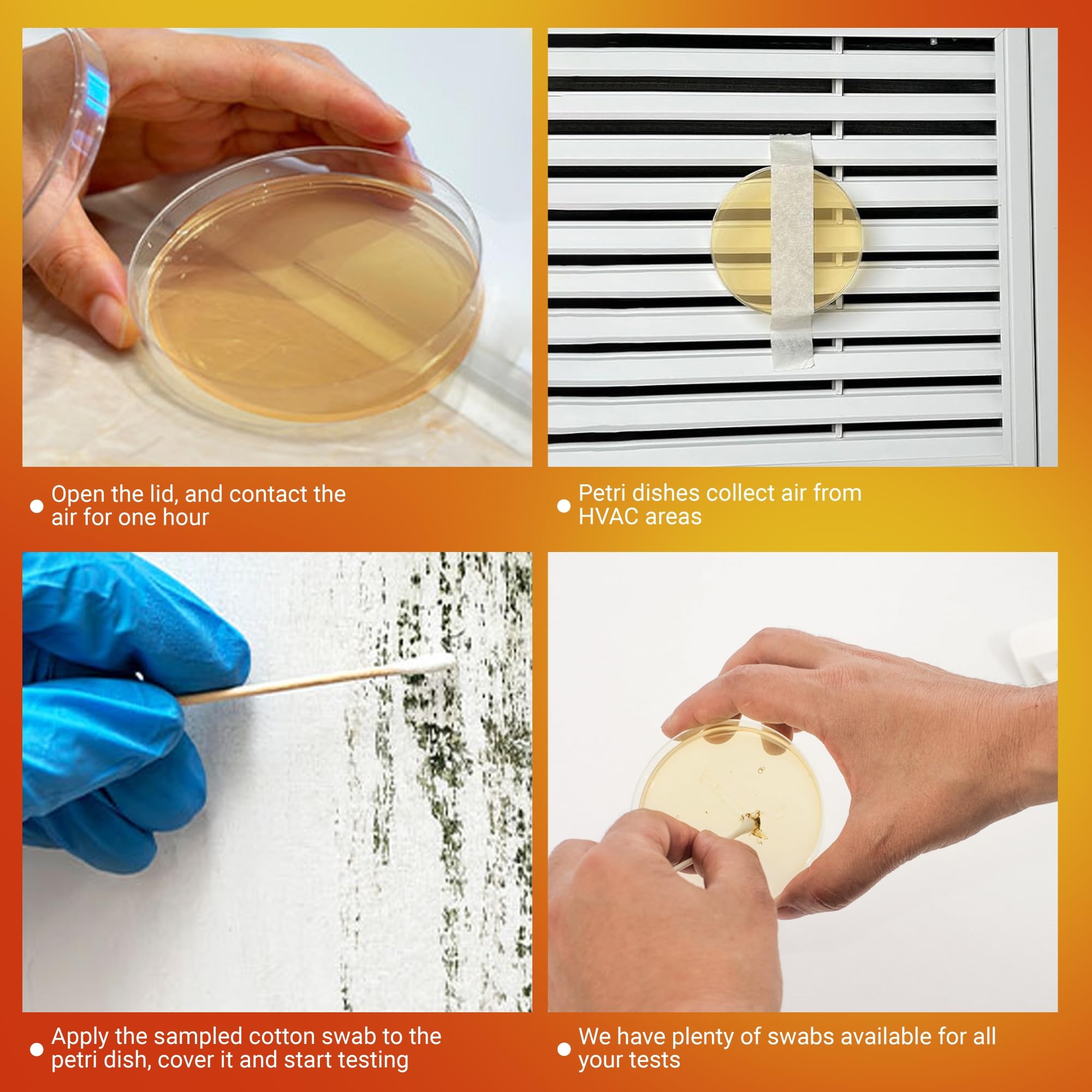 Kit de test de moisissure pour la maison – Kit de test de moisissure pour la détection