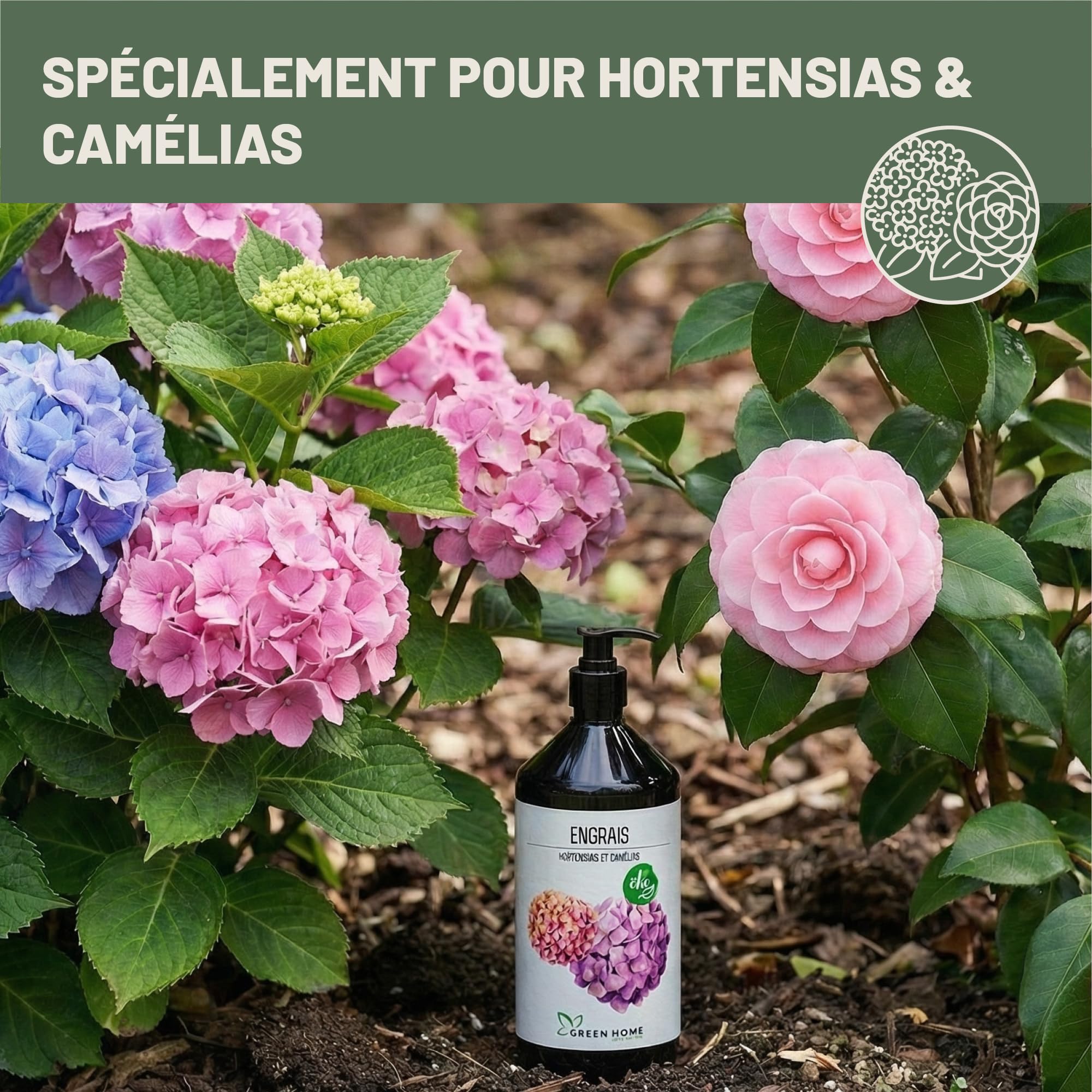Green Home Engrais Hortensia & Camélia Liquide 1 L avec Pompe Doseuse NPK 5-5-7 – Engrais Hortensia Liquide pour Hortensias, Camélias et Rhododendrons