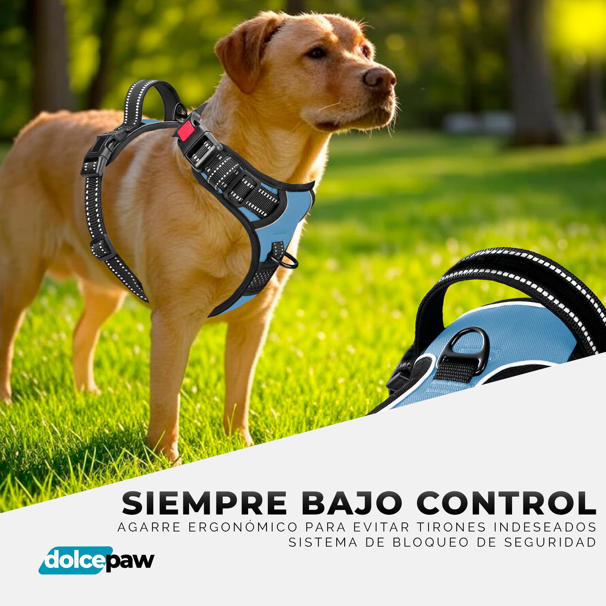 Arnés para Perros Pequeños, Medianos y Grandes, Arnés Ajustable No-Pull con Tiras Reflectantes, Material Transpirable y Cómodo, Arnés de Pecho para Paseos y Adiestramiento