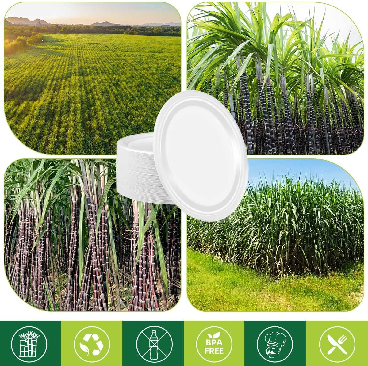 Heavy Duty Oval Disposable Paper Plates Dinner Size 10 x 12.5 Inch, Large Oval Shaped Christmas Thanksgiving Easter Paper Plate, White Holiday Birthday Party Dinner Plates & Dishware 50 Count - Image 3