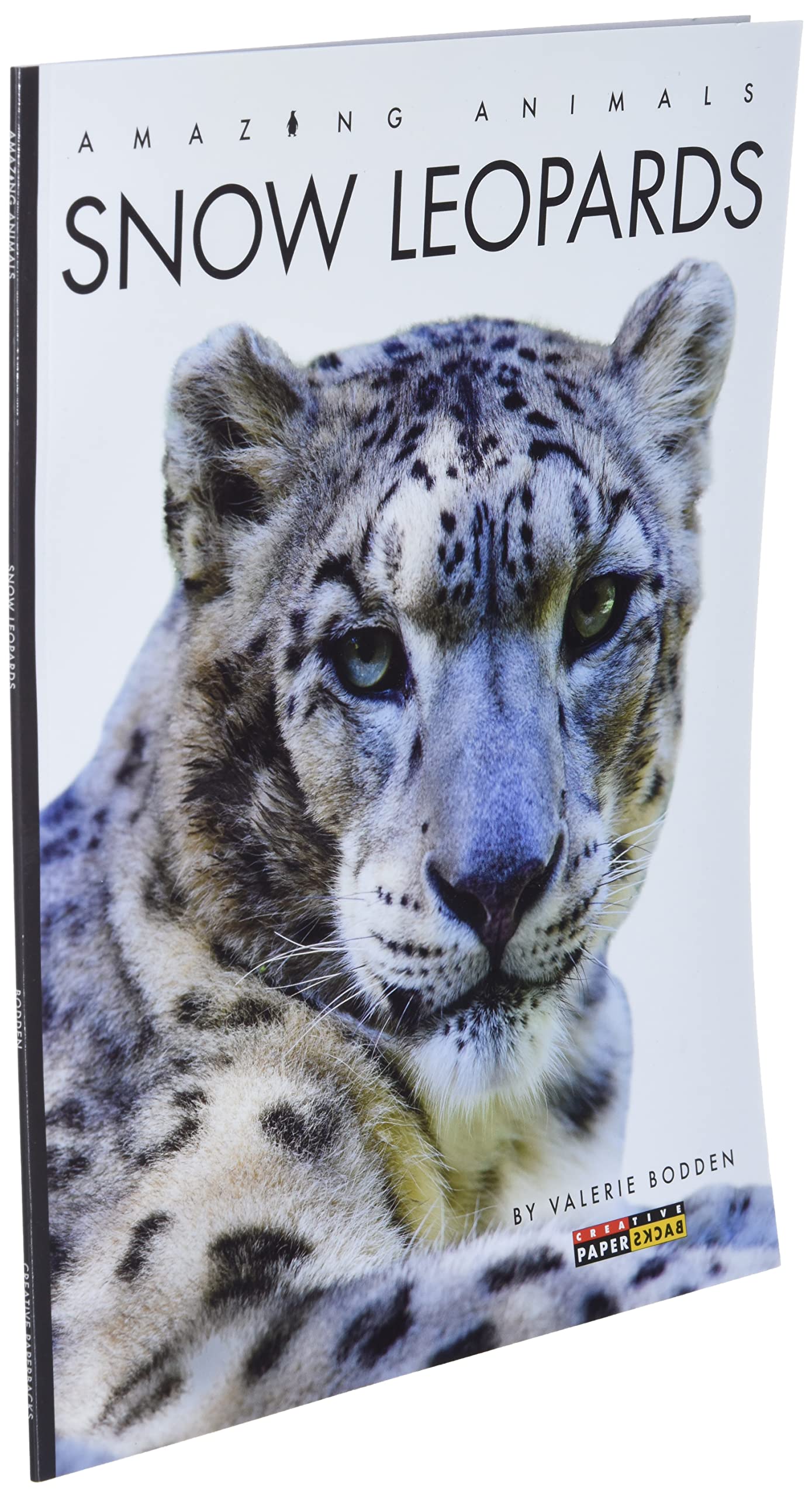 Snow Leopards (Amazing Animals)