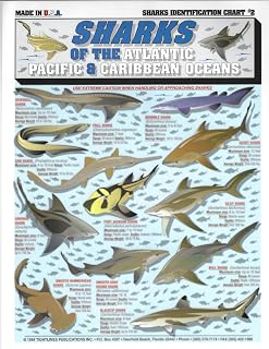 Shark Identification Chart #2 (Atlantic, Pacific, and Caribbean) - Waterproof Quick Reference Fishing Guide - (Size, Weight, Depth, Location) - Double-Sided & Easy to Read - Great Gift for Beginners