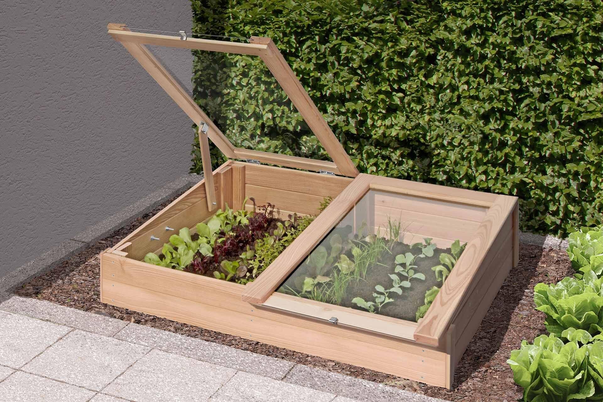 Mega Holz Frühbeet Gewächshaus Aufsatz aus Lärche 119x80x21 cm - Hochbeet-Aufsatz aus Holz mit Abdeckung - Treibhaus für Garten, Obst, Gemüse & Kräuter, witterungsbeständig, pflegeleicht & natürlich