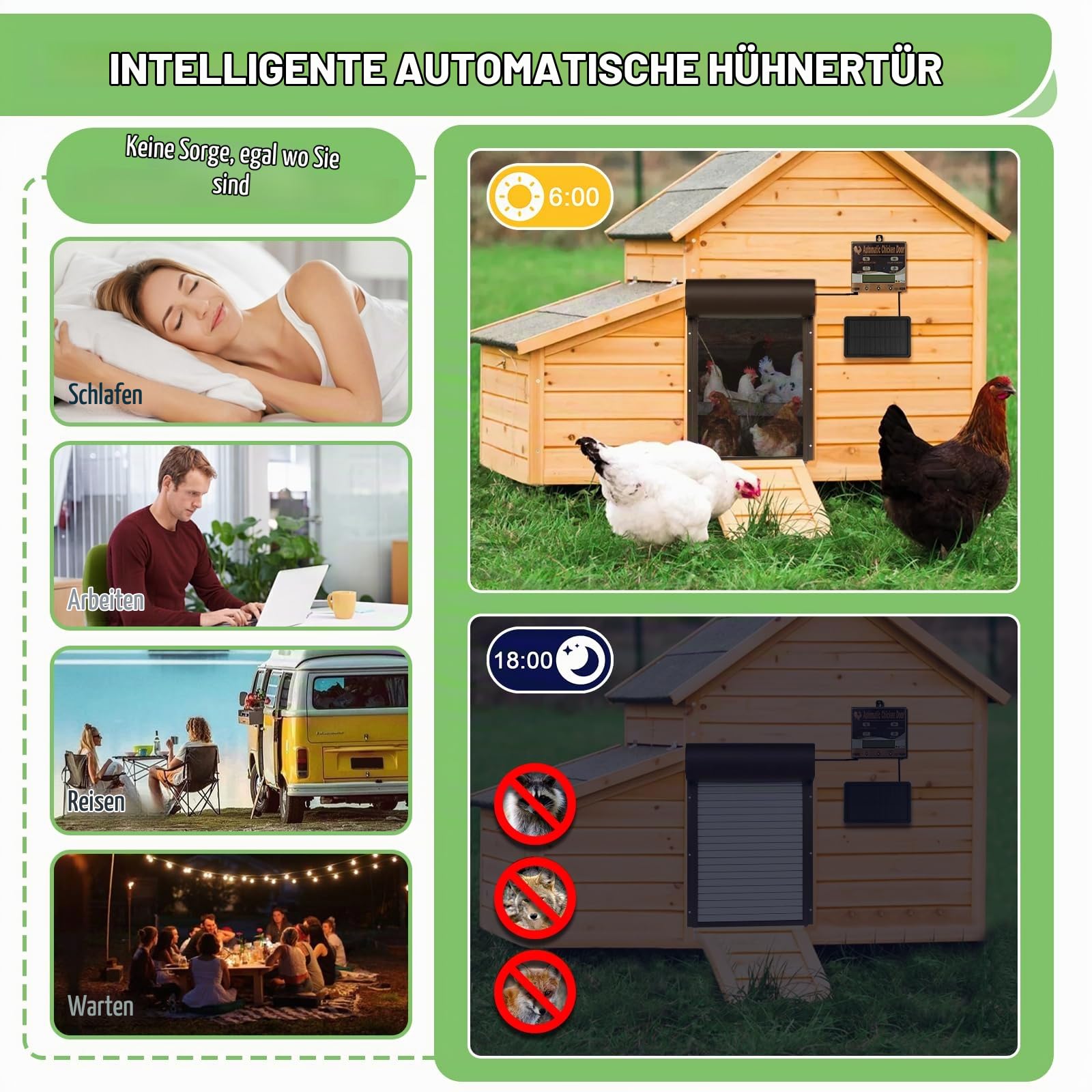 Automatische Hühnerklappe Solar