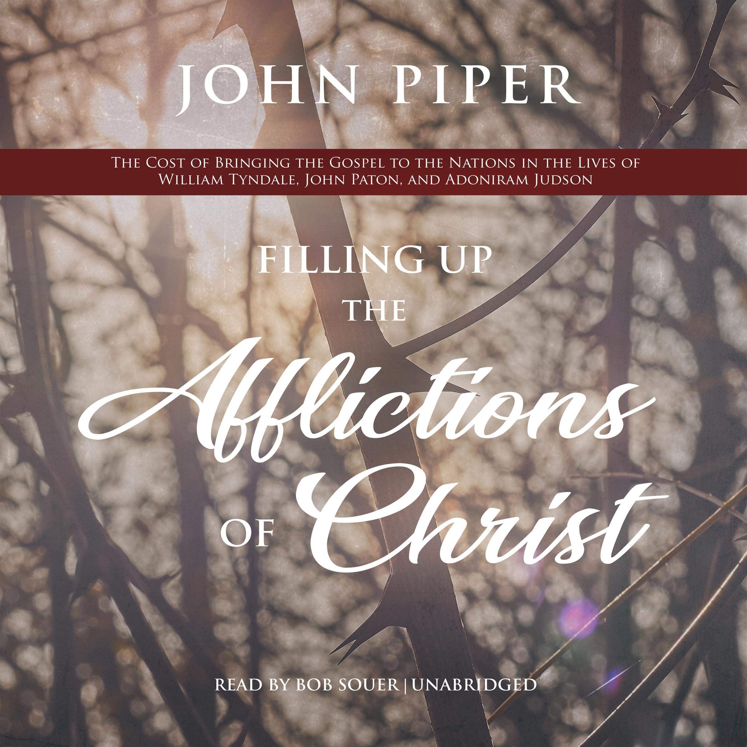 Cover art for Filling up the Afflictions of Christ