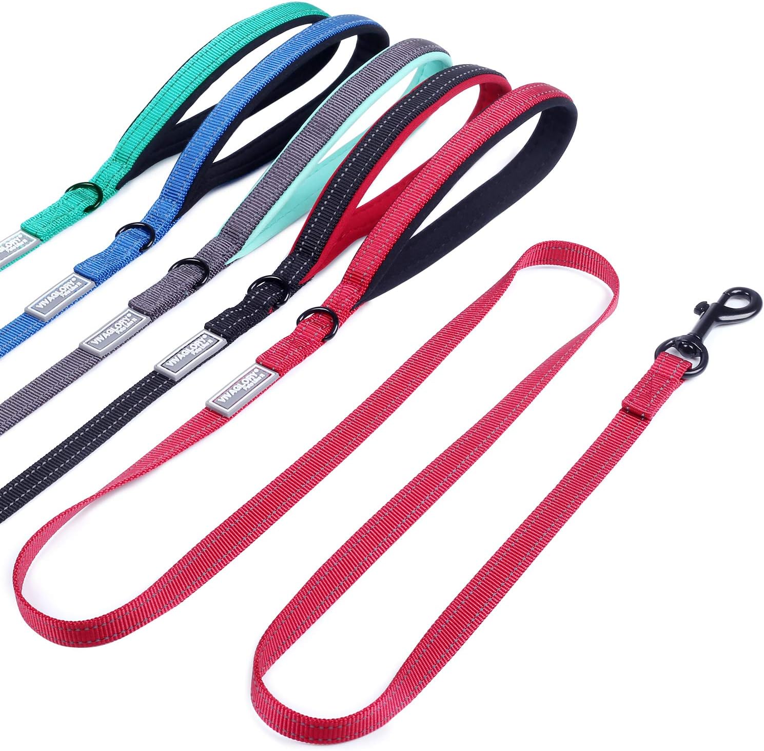 VIVAGLORY Dog Lead Dailyx Dog Leash, Lead with Soft Padded Handle for Training & Walking