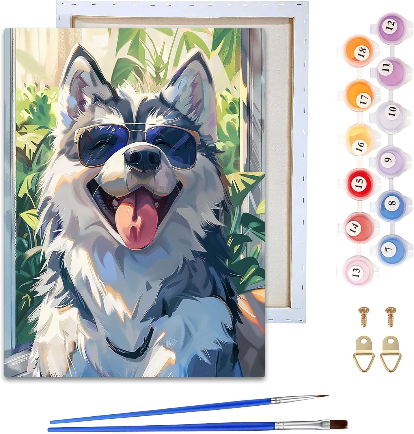 Reofrey Framed Paint by Numbers Kit for Adults & Beginner