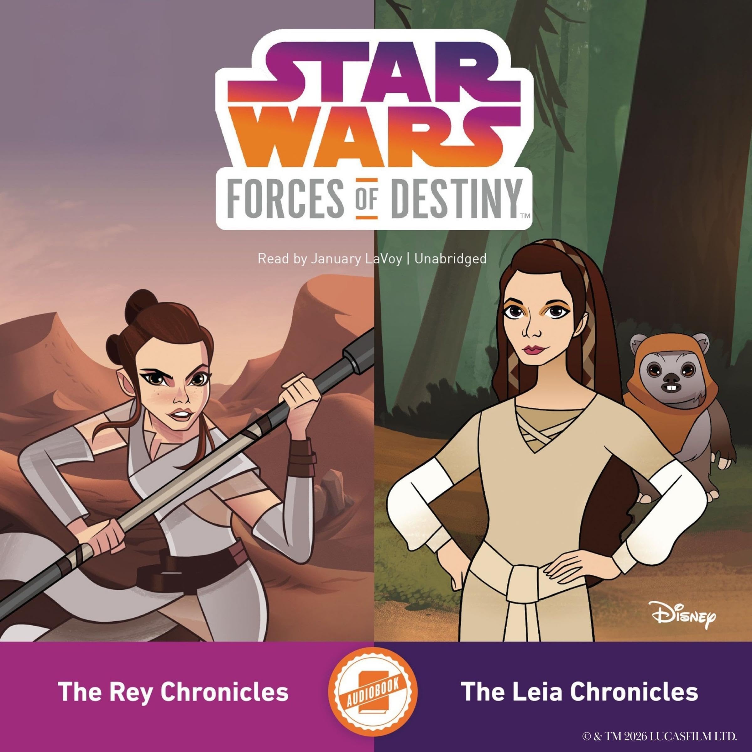 Cover art for The Leia Chronicles & The Rey Chronicles