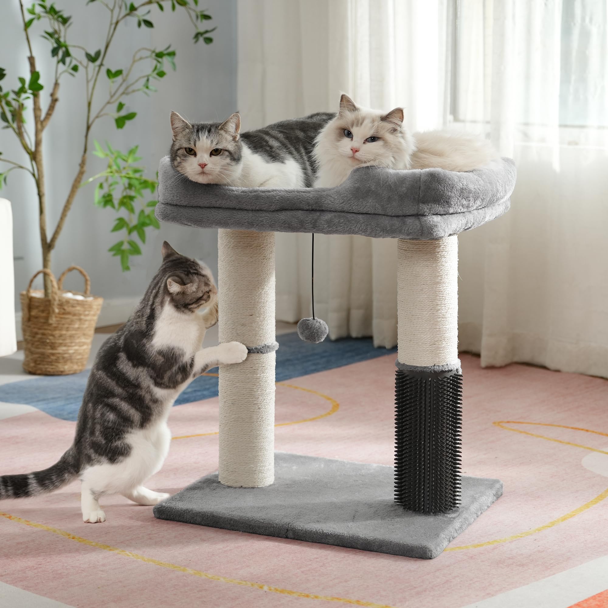 Go to store page for "Short Cat Tree for Large Cats". - image 7