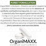 300mg L Theanine Capsules OrganiMAXX. Highest Potency Single Capsule L-Theanine Supplement. 120 Count L'theanine For Anxiety Relief, Stress Relief, Sleep Support And Relaxation. Made In Canada, GMO Free, Gluten Free & Vegan Friendly