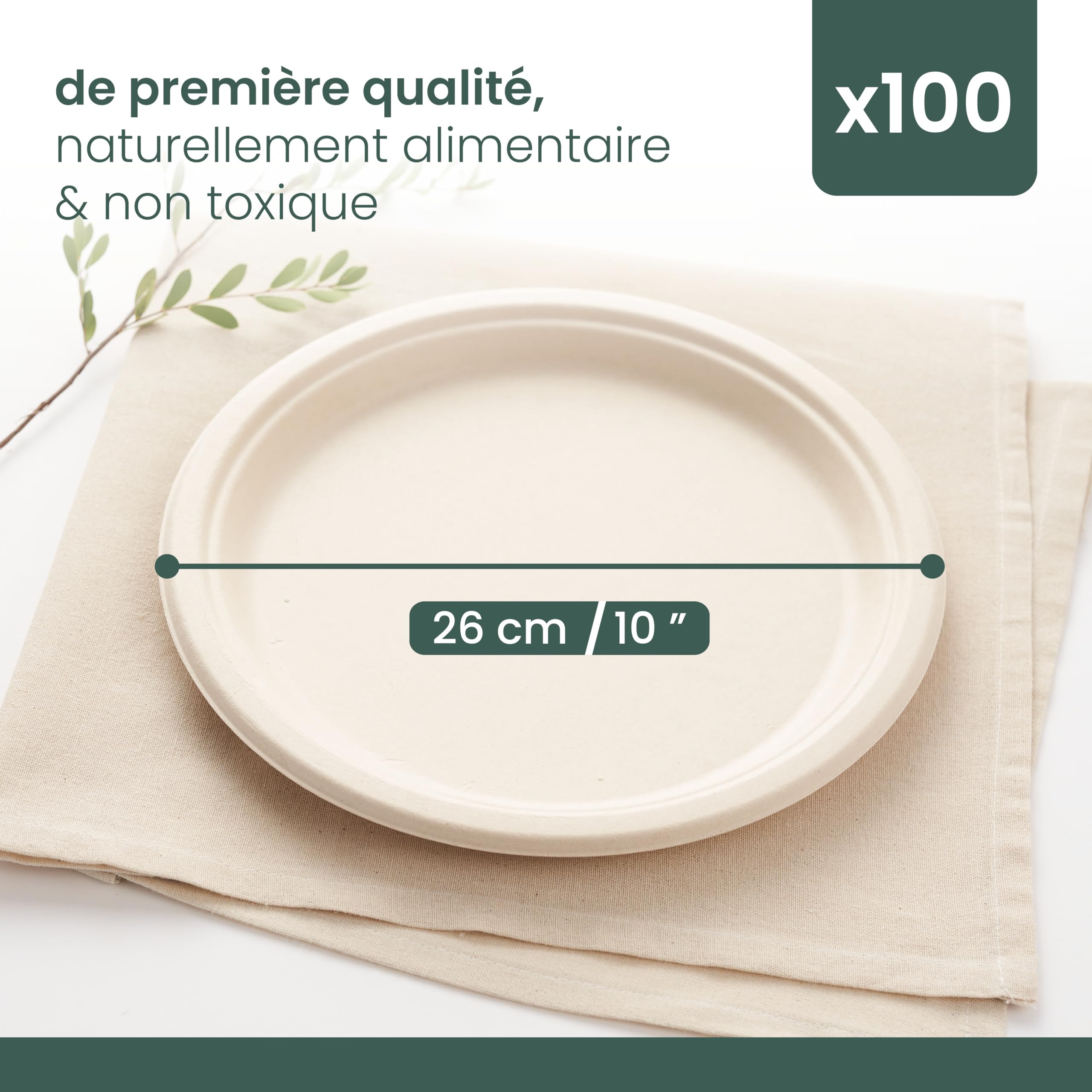 HAAGO 100 Assiettes Jetables Solides & Compostables 26 cm / 10" – Canne à Sucre (Bagasse) – Assiettes Carton Rigides, Anti-Graisse & Anti-Fuites – Pour Chaud & Froid, Buffet, BBQ, Traiteur