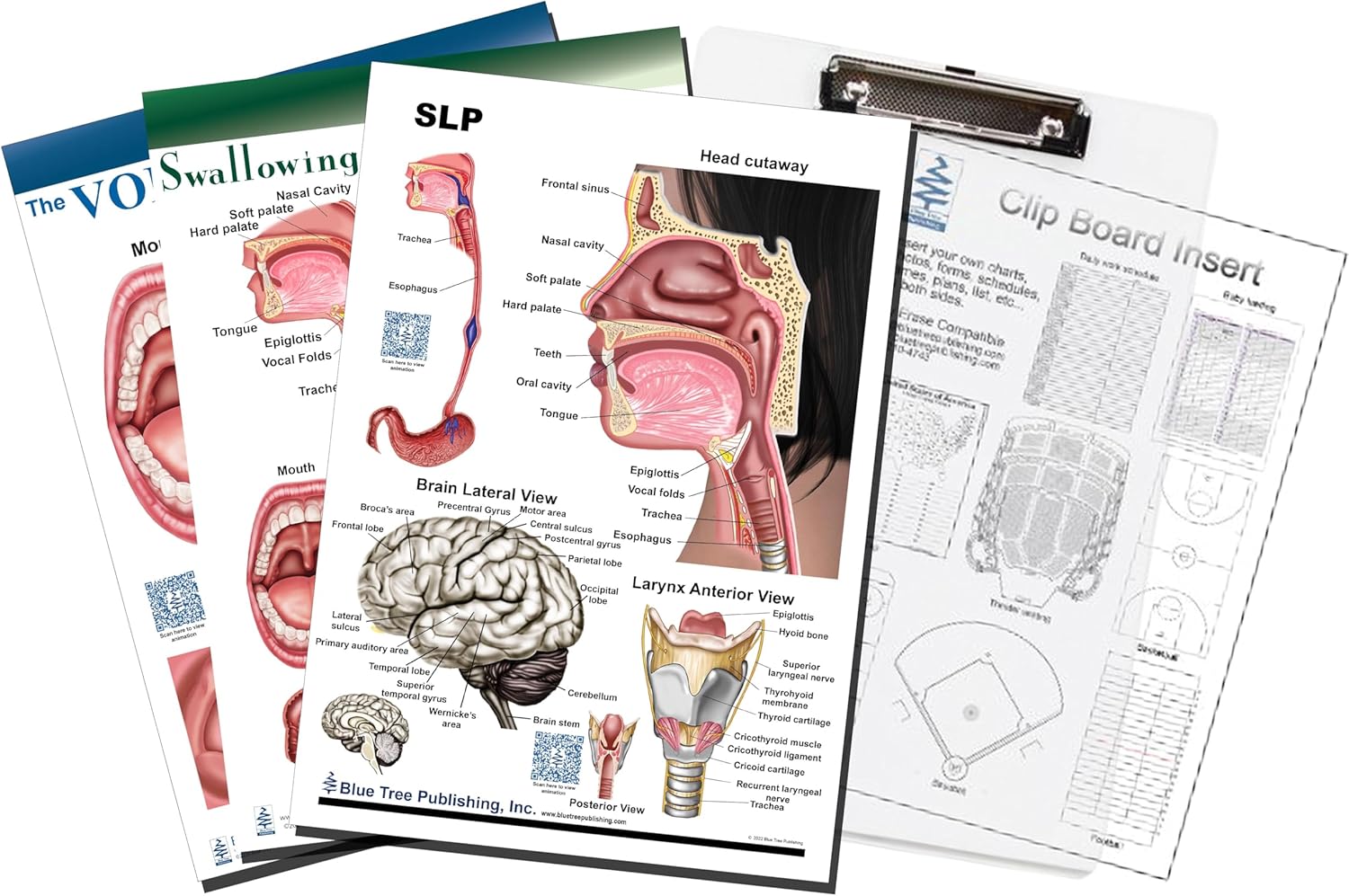 Blue Tree Publishing Complete Education Pads for Voice, Swallowing and SLP Chart with Clipboard Set